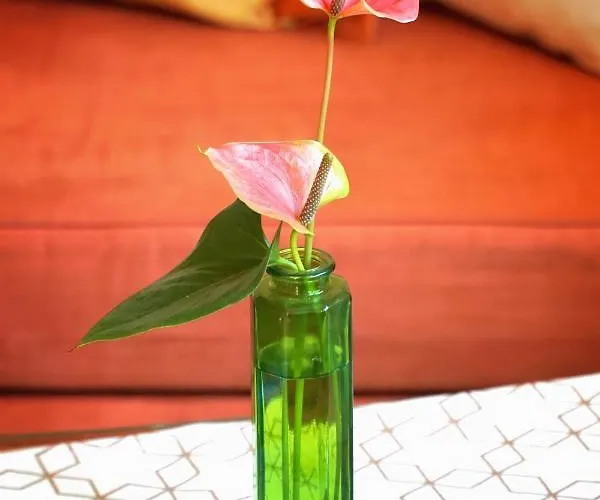 דירה Moseltraum-fewo Mit Klimaanlage-burgblick Und Balkon ברנקסטל - קיס