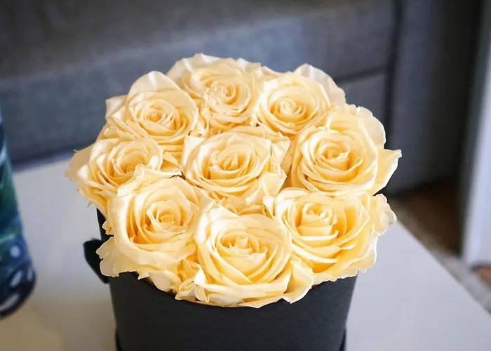 Moseltraum-fewo Mit Klimaanlage-burgblick Und Balkon דירה ברנקסטל - קיס