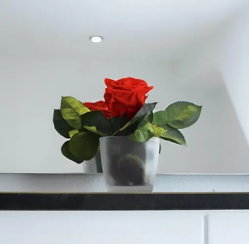 Moseltraum-fewo Mit Klimaanlage-burgblick Und Balkon *